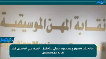 إحالة رضا البحراوي ومحمود الليثي للتحقيق.. تعرف على تفاصيل قرار نقابة الموسيقيين